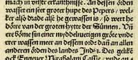 An illustration from Nye vnbekande Lande Unde eine nye Werldt in korter vorgangener Tyd gefunden (1508)
