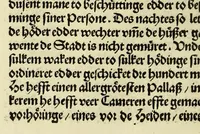 An illustration from Nye vnbekande Lande Unde eine nye Werldt in korter vorgangener Tyd gefunden (1508)