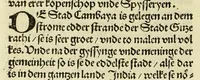 Picture 26 of 28 from Nye vnbekande Lande Unde eine nye Werldt in korter vorgangener Tyd gefunden (1508), leaf 130