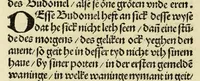 Picture 3 of 28 from Nye vnbekande Lande Unde eine nye Werldt in korter vorgangener Tyd gefunden (1508), leaf 28