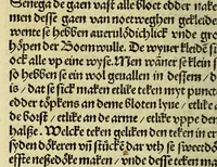 An illustration from Nye vnbekande Lande Unde eine nye Werldt in korter vorgangener Tyd gefunden (1508)