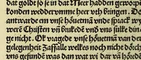 An illustration from Nye vnbekande Lande Unde eine nye Werldt in korter vorgangener Tyd gefunden (1508)