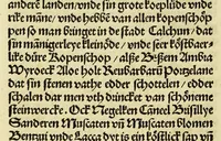 An illustration from Nye vnbekande Lande Unde eine nye Werldt in korter vorgangener Tyd gefunden (1508)