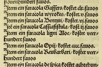 Picture 11 of 28 from Nye vnbekande Lande Unde eine nye Werldt in korter vorgangener Tyd gefunden (1508), leaf 80