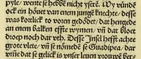 An illustration from Nye vnbekande Lande Unde eine nye Werldt in korter vorgangener Tyd gefunden (1508)