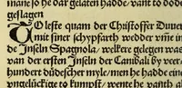 Picture 15 of 28 from Nye vnbekande Lande Unde eine nye Werldt in korter vorgangener Tyd gefunden (1508), leaf 88