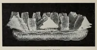 Picture 2 of 13 from O. A. C. Review Volume 22 Issue 7, April 1910 (1910), leaf 12