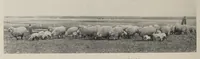 Picture 3 of 13 from O. A. C. Review Volume 22 Issue 7, April 1910 (1910), leaf 20