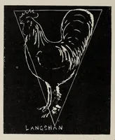 Picture 5 of 13 from O. A. C. Review Volume 22 Issue 7, April 1910 (1910), leaf 34