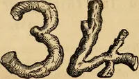 An illustration from Oak Hall pictorial. (1854)