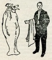 Picture 6 of 10 from Oaks Latest Tricks, Catalogue No. 22: Puzzles, Novelties, Sensational Escapes, and Illusions (1913), leaf 53