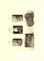 An illustration from Objets d'art Japonais et Chinois peintures, estampes : composant la collection des Goncourt (1897)