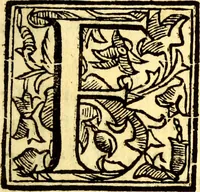 Picture 2 of 85 from Obseruationes circa viuentia, quæ in rebus non viuentibus reperiuntur : Cum micrographia curiosa siue Rerum minutissimarum obseruationibus, quæ ope microscopij recognitæ ad viuum exprimuntur : his accesserunt aliquot animalium testaceorum icones non antea in lucem editæ : omnia curiosorum naturæ exploratorum vtilitati & iucunditati expressa & oblata (1691), leaf 14