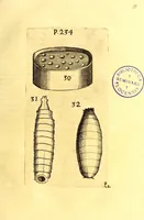 Picture 16 of 85 from Obseruationes circa viuentia, quæ in rebus non viuentibus reperiuntur : Cum micrographia curiosa siue Rerum minutissimarum obseruationibus, quæ ope microscopij recognitæ ad viuum exprimuntur : his accesserunt aliquot animalium testaceorum icones non antea in lucem editæ : omnia curiosorum naturæ exploratorum vtilitati & iucunditati expressa & oblata (1691), leaf 280