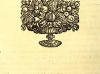 An illustration from Obseruationes circa viuentia, quæ in rebus non viuentibus reperiuntur : Cum micrographia curiosa siue Rerum minutissimarum obseruationibus, quæ ope microscopij recognitæ ad viuum exprimuntur : his accesserunt aliquot animalium testaceorum icones non antea in lucem editæ : omnia curiosorum naturæ exploratorum vtilitati & iucunditati expressa & oblata (1691)