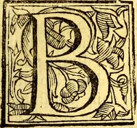 An illustration from Obseruationes circa viuentia, quæ in rebus non viuentibus reperiuntur : Cum micrographia curiosa siue Rerum minutissimarum obseruationibus, quæ ope microscopij recognitæ ad viuum exprimuntur : his accesserunt aliquot animalium testaceorum icones non antea in lucem editæ : omnia curiosorum naturæ exploratorum vtilitati & iucunditati expressa & oblata (1691)