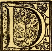 An illustration from Obseruationes circa viuentia, quæ in rebus non viuentibus reperiuntur : Cum micrographia curiosa siue Rerum minutissimarum obseruationibus, quæ ope microscopij recognitæ ad viuum exprimuntur : his accesserunt aliquot animalium testaceorum icones non antea in lucem editæ : omnia curiosorum naturæ exploratorum vtilitati & iucunditati expressa & oblata (1691)