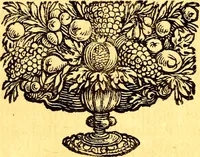 An illustration from Obseruationes circa viuentia, quæ in rebus non viuentibus reperiuntur : Cum micrographia curiosa siue Rerum minutissimarum obseruationibus, quæ ope microscopij recognitæ ad viuum exprimuntur : his accesserunt aliquot animalium testaceorum icones non antea in lucem editæ : omnia curiosorum naturæ exploratorum vtilitati & iucunditati expressa & oblata (1691)