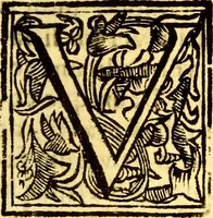 An illustration from Obseruationes circa viuentia, quæ in rebus non viuentibus reperiuntur : Cum micrographia curiosa siue Rerum minutissimarum obseruationibus, quæ ope microscopij recognitæ ad viuum exprimuntur : his accesserunt aliquot animalium testaceorum icones non antea in lucem editæ : omnia curiosorum naturæ exploratorum vtilitati & iucunditati expressa & oblata (1691)