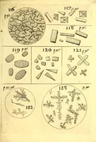 An illustration from Obseruationes circa viuentia, quæ in rebus non viuentibus reperiuntur : Cum micrographia curiosa siue Rerum minutissimarum obseruationibus, quæ ope microscopij recognitæ ad viuum exprimuntur : his accesserunt aliquot animalium testaceorum icones non antea in lucem editæ : omnia curiosorum naturæ exploratorum vtilitati & iucunditati expressa & oblata (1691)