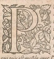 An illustration from Les obseruations de plusieurs singularitez et choses memorables : trouuées en Grece, Asie, Judée, Egypte, Arabie ... en trois livres (1554)