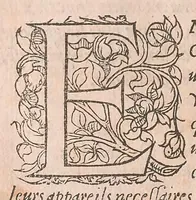 Picture 9 of 27 from Les obseruations de plusieurs singularitez et choses memorables : trouuées en Grece, Asie, Judée, Egypte, Arabie ... en trois livres (1554), leaf 264
