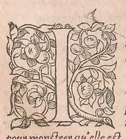 Picture 11 of 27 from Les obseruations de plusieurs singularitez et choses memorables : trouuées en Grece, Asie, Judée, Egypte, Arabie ... en trois livres (1554), leaf 272