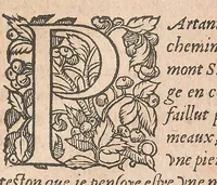 An illustration from Les obseruations de plusieurs singularitez et choses memorables : trouuées en Grece, Asie, Judée, Egypte, Arabie ... en trois livres (1554)