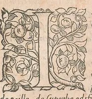 Picture 16 of 27 from Les obseruations de plusieurs singularitez et choses memorables : trouuées en Grece, Asie, Judée, Egypte, Arabie ... en trois livres (1554), leaf 309