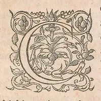 An illustration from Les obseruations de plusieurs singularitez et choses memorables : trouuées en Grece, Asie, Judée, Egypte, Arabie ... en trois livres (1554)