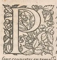 Picture 23 of 27 from Les obseruations de plusieurs singularitez et choses memorables : trouuées en Grece, Asie, Judée, Egypte, Arabie ... en trois livres (1554), leaf 391