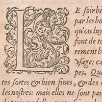 An illustration from Les obseruations de plusieurs singularitez et choses memorables : trouuées en Grece, Asie, Judée, Egypte, Arabie ... en trois livres (1554)