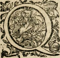 An illustration from Observations chirvrgiqves (1669)