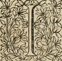 An illustration from Observations chirvrgiqves (1669)