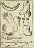 Picture 20 of 39 from Observations chirvrgiqves (1669), leaf 50