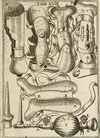 An illustration from Observations chirvrgiqves (1669)