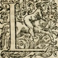 An illustration from Observations chirvrgiqves (1669)