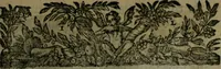 Picture 6 of 22 from Observations diverses, sur la sterilité, perte de fruict, foecondité, accouchements, et maladies des femmes, et enfants nouveaux naiz (1617), leaf 12