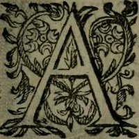 An illustration from Observations diverses, sur la sterilité, perte de fruict, foecondité, accouchements, et maladies des femmes, et enfants nouveaux naiz (1617)