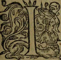 Picture 9 of 22 from Observations diverses, sur la sterilité, perte de fruict, foecondité, accouchements, et maladies des femmes, et enfants nouveaux naiz (1617), leaf 28