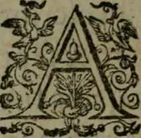 An illustration from Observations diverses, sur la sterilité, perte de fruict, foecondité, accouchements, et maladies des femmes, et enfants nouveaux naiz (1617)