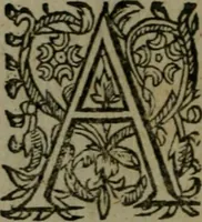 Picture 20 of 22 from Observations diverses, sur la sterilité, perte de fruict, foecondité, accouchements, et maladies des femmes, et enfants nouveaux naiz (1617), leaf 391