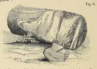 An illustration from Observations on the temple of Serapis at Pozzuoli near Naples : with an attempt to explain the causes of the frequent elevation and depression of large portions of the earth's surface in remote periods and to prove that those causes continue in action at the present time : with a supplement of Conjectures on the physical condition of the surface of the moon (1847)
