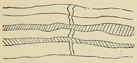An illustration from Observations on the temple of Serapis at Pozzuoli near Naples : with an attempt to explain the causes of the frequent elevation and depression of large portions of the earth's surface in remote periods and to prove that those causes continue in action at the present time : with a supplement of Conjectures on the physical condition of the surface of the moon (1847)