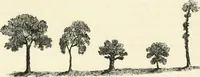 Picture 30 of 75 from Observations on the theory and practice of landscape gardening : including some remarks on Grecian and Gothic architecture, collected from various manuscripts, in the possession of the different noblemen and gentlemen, for whose use they were originally written : the whole tending to establish fixed principles in the respective arts (1805), leaf 100