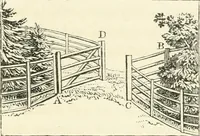 An illustration from Observations on the theory and practice of landscape gardening : including some remarks on Grecian and Gothic architecture, collected from various manuscripts, in the possession of the different noblemen and gentlemen, for whose use they were originally written : the whole tending to establish fixed principles in the respective arts (1805)