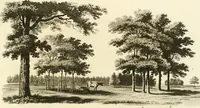 Picture 21 of 75 from Observations on the theory and practice of landscape gardening : including some remarks on Grecian and Gothic architecture, collected from various manuscripts, in the possession of the different noblemen and gentlemen, for whose use they were originally written : the whole tending to establish fixed principles in the respective arts (1805), leaf 90