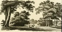 Picture 22 of 75 from Observations on the theory and practice of landscape gardening : including some remarks on Grecian and Gothic architecture, collected from various manuscripts, in the possession of the different noblemen and gentlemen, for whose use they were originally written : the whole tending to establish fixed principles in the respective arts (1805), leaf 90