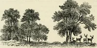 Picture 24 of 75 from Observations on the theory and practice of landscape gardening : including some remarks on Grecian and Gothic architecture, collected from various manuscripts, in the possession of the different noblemen and gentlemen, for whose use they were originally written : the whole tending to establish fixed principles in the respective arts (1805), leaf 93