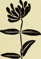An illustration from Observations and suggestions on brushwork and colour study (1906)